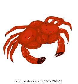 Red crab isolated on a white background. Vector graphics.