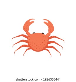 Red crab isolated on white background. Vector illustration.