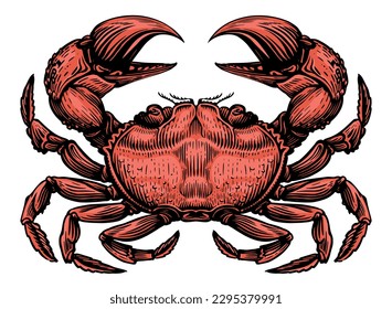 Red crab isolated on white background. Sea animal, seafood vector illustration