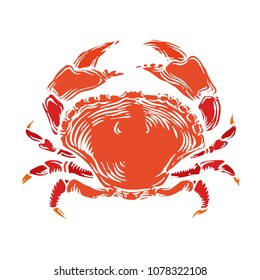 Red Crab line art ink drawing hand drawn vector illustration isolated on white background