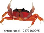 Red crab moving sideways with claws raised, isolated on white