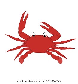 Vector Boiled Red Crayfish Crawfish Stock Vector (Royalty Free) 379982803