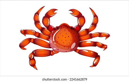 Red crab in realistic style isolated on white background. Boiled seafood product design. Ocean crustacean creature with pincers for cooking in restaurant. Edible sea food top view. Vector illustration