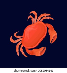 Red crab, sea creature vector Illustration on a dark blue background