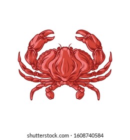 
Red crab seafood vector icon illustration 