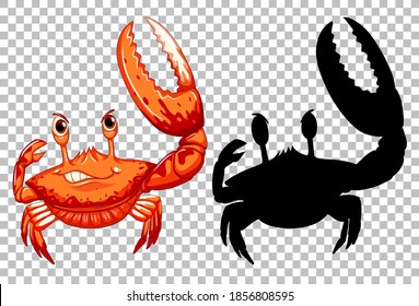 Red crab and its silhouette on transparent background illustration
