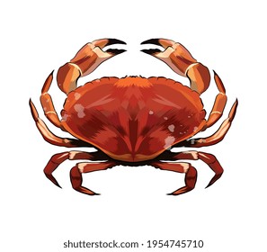Red crab from a splash of watercolor, colored drawing, realistic. Vector illustration of paints