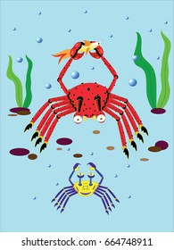 The red crab took away a small fish from a little crab