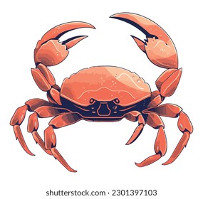 red crab vector design over white