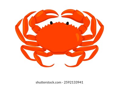 Red  Crab and vector hand drawn Crab isolated on white background, cartoon style.Vector.