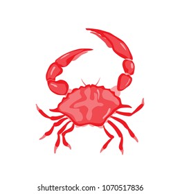 Red crab vector illustration. Isolated object on white background. Seafood product, restaurant menu. Hand drawn painting.