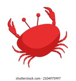 Red crab vector illustration.. Isolated on white background. Sea creature.