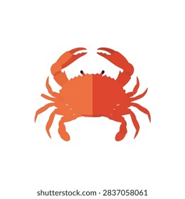 Red crab vector illustration with large claws isolated on white background, marine wildlife icon