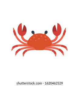Red crab vector illustration. Sea creature in flat design