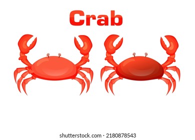 red crab vector illustration. Sea creatures isolated on white background. Aquatic animal with claws.	
