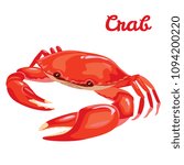 Red crab vector illustration in simple flat style isolated on white background. Seafood product design template.
