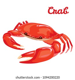 Red crab vector illustration in simple flat style isolated on white background. Seafood product design template.
