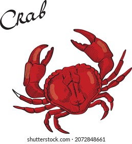 Ilustración aislada del vector del cangrejo rojo sobre fondo brillante. Concepto de logotipo, impresión, tarjetas