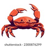 red crab vector over white
