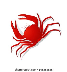 Red crab vector over white