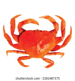 Red crab vector watercolor illustration Sea and ocean animals Marine wildlife art Nautical decoration Clipart for design logo or decoration