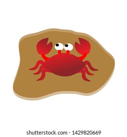 Red Crab Walking On The Beach Sand
