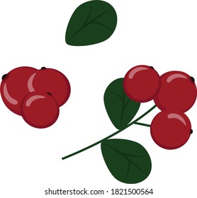 Red cranberry berries on a branch. Isolate. Autumn element for decoration, design, greeting card, drawing, etc. Products for the preparation of juice. Template cartoon vector flat illustration 