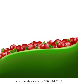 Red Cranberry Border With Gradient Mesh, Vector Illustration
