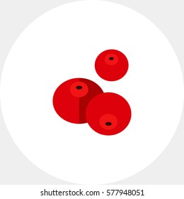 Red cranberry icon