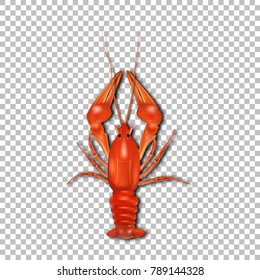 Red crayfish. 3d vector icon. Seafood, realistic style. Snack to beer. Vector eps10.