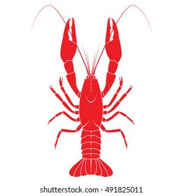 Red crayfish vector flat illustration isolated on white background. Fresh seafood icon. vector on isolated