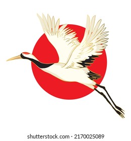 Red crowned crane flaps wings cartoon vector illustration. Mating dance of birds