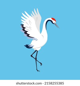 Grúa de coronado rojo como pájaro de largo alcance y cuello de larga distancia de pie con alas extendidas en vectores de fondo azul Ilustración