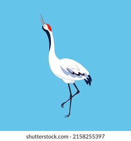 Red Crowned Crane as Long-legged and Long-necked Bird Standing on Blue Background Vector Illustration