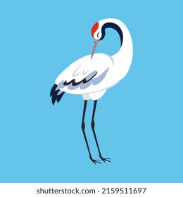 Red Crowned Crane as Long-legged and Long-necked Bird Standing on Blue Background Vector Illustration