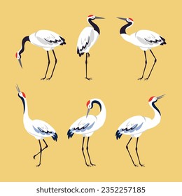 Red Crowned Crane as Long-legged and Long-necked Bird in Different Pose Vector Set