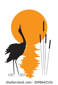 Red crowned crane silhouette on sunset isolated on white background, vector. Red crowned crane bird by pond and pond plants, illustration. Artistic design