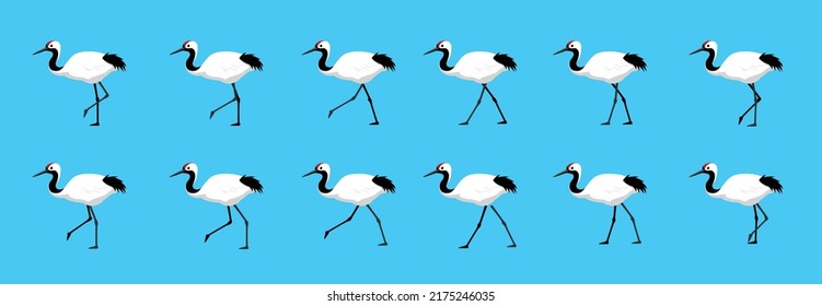 Red Crowned Crane Walking Motion Animation Sequence Cartoon Vector Illustration
