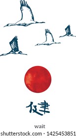 Red crowned Japanese crane on the background of the red sun and hieroglyph. Red-crowned crane. Grus japonensis. Vector illustration in Japan.