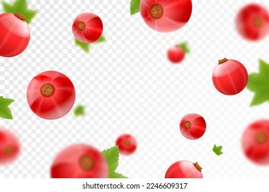 roter Johannisbrot, Hintergrund. Fliegender Johannisbrot mit grünen Blättern auf transparentem Hintergrund. Sinkende Beeren aus verschiedenen Blickwinkeln. Konzentrierte und unscharfe Objekte. Realistische 3D-Vektorgrafik