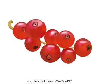 Red currant berries