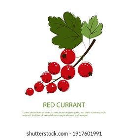 Red Currant Berries. Bunch of Ripe Juicy Red Currant with Green Leafs. Berry for Jam. Flat Vector Illustration.