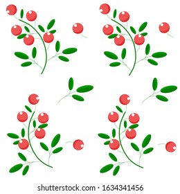 Red currant berries with leaf seamless pattern.vector illustration. Isolated on white background.