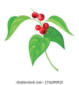Red Currant Branch with Hanging Ripe Berries Vector Illustration