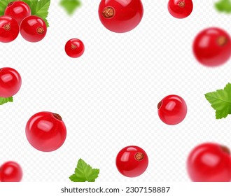 Red currant faling. Flying blurred currant with green leaves on transparent background. Red currant Realistic 3d vector illustration