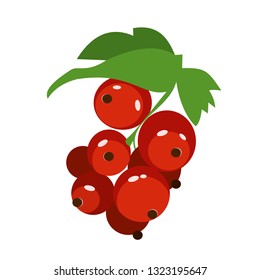 red currant flat simple illustration. Kitchen cooking - vegetables and fruits series.