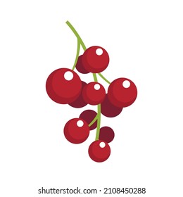 Red currant fruit icon. Flat illustration of red currant fruit vector icon isolated on white background