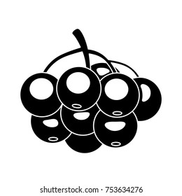 red currant icon