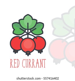 red currant icon over white in flat style, vector illustration