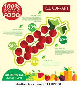 Red currant. Infographic template. vector illustration.